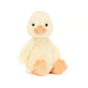 Duck Plushie
